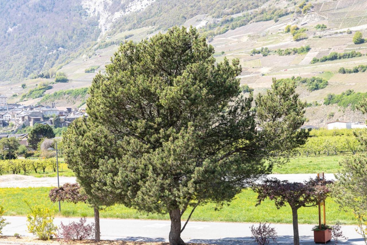 Apartamento Un Moment De Détente Inoubliable Saillon-les-bain